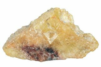 Aubrite Meteorite Fragment - Djoua #283640