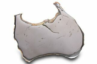 Gebel Kamil Iron Meteorite Slice ( g) - Egypt #284518