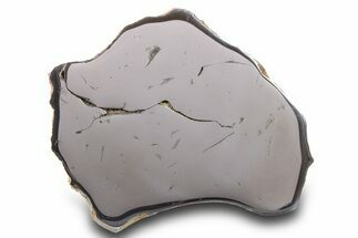 Gebel Kamil Iron Meteorite Slice ( g) - Egypt #284523