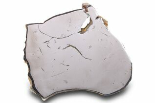 Iron Meteorites For Sale
