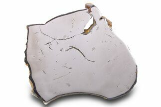 Gebel Kamil Iron Meteorite Slice ( g) - Egypt #284525