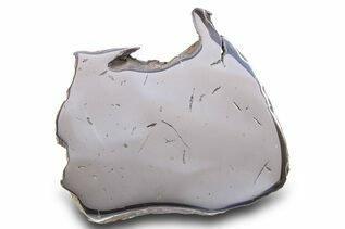 Iron Meteorites For Sale