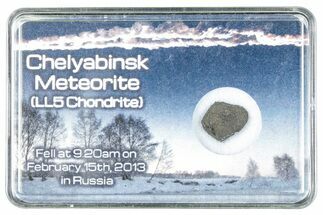 Oriented Chelyabinsk Meteorite ( g) - Witnessed Fall #284726