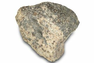 Chondrite Meteorite (g) - Western Sahara Desert #285369