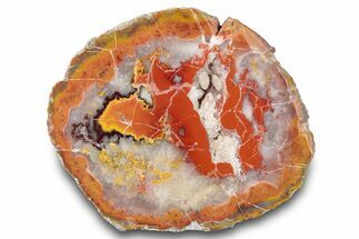 Colorful Sinbad Agate Nodule Half - Utah #285560