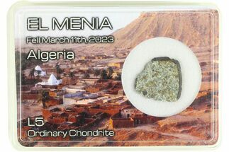 L Chondrite Meteorite ( g) Slice - El Menia #285483