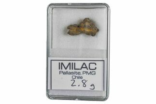 Pallasite Meteorite ( g) Fragment - Imilac #285899