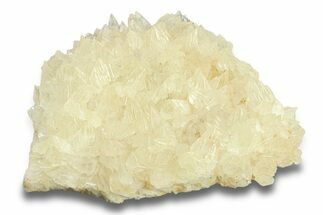 Sharp Dogtooth Calcite Crystal Cluster - Utah #285920