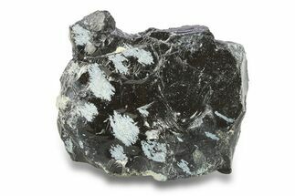 Snowflake Obsidian Section - Utah #285931