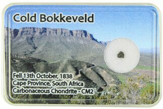 Carbonaceous Chondrite Fragment - Cold Bokkeveld #285964