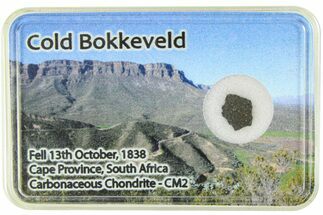 Carbonaceous Chondrite Fragment ( g) - Cold Bokkeveld #285973