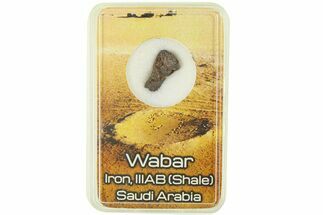 Meteorite (IIIAB) Fragment ( g) - Wabar #286059