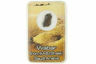 Oxidized Meteorite (IIIAB) Fragment ( g) - Wabar #286063