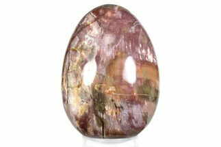 Colorful, Polished Petrified Wood Egg - Madagascar #286067