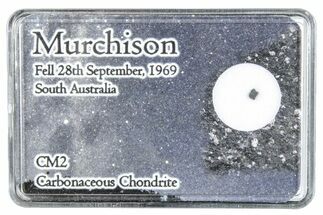 Murchison Chondrite Meteorite Fragment - Australia #286073