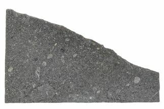 Polished Mesosiderite Meteorite Slice ( g) - NWA #286219