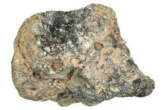 Howardite Meteorite ( g) - Bechar #286983