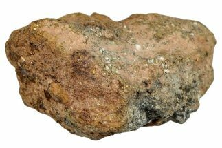 Howardite Meteorite ( g) - Bechar #287001