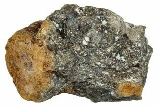 Howardite Meteorite ( g) - Bechar #287004