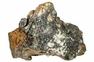 Howardite Meteorite ( g) - Bechar #287007