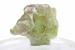 Lustrous Vesuvianite Crystal Cluster - Jeffrey Mine, Canada #287042