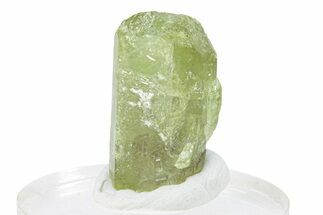 Lustrous Vesuvianite Crystal - Jeffrey Mine, Canada #287043