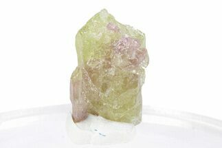 Lustrous Vesuvianite Crystal - Jeffrey Mine, Canada #287078