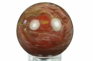 Colorful Petrified Wood (Araucaria) Sphere - Madagascar #286134