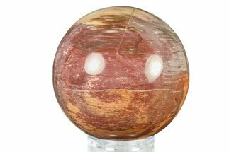 Colorful Petrified Wood (Araucaria) Sphere - Madagascar #286143