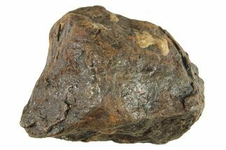 Canyon Diablo Iron Meteorite ( g) - Arizona #287631
