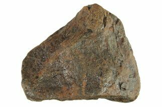 Canyon Diablo Iron Meteorite ( g) - Arizona #287654