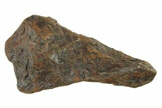 Canyon Diablo Iron Meteorite ( g) - Arizona #287662