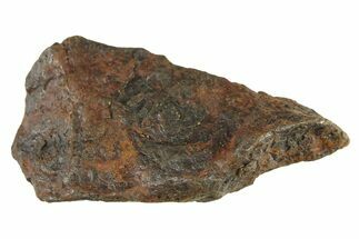 Canyon Diablo Iron Meteorite ( g) - Arizona #287683