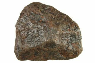 Canyon Diablo Iron Meteorite ( g) - Arizona #287690