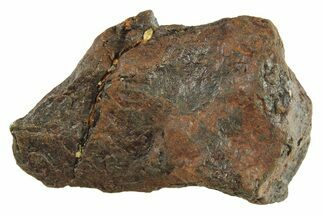 Canyon Diablo Iron Meteorite ( g) - Arizona #287692