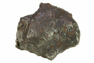 Sikhote-Alin Iron Meteorite Shrapnel ( g) - Russia #287735