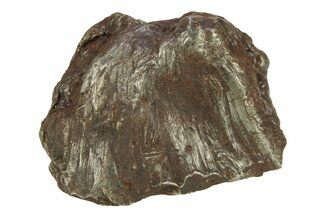 Sikhote-Alin Iron Meteorite Shrapnel ( g) - Russia #287738