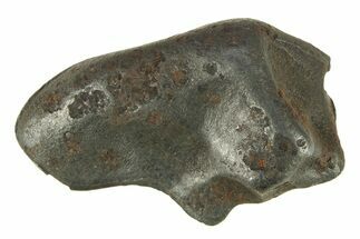 Fusion Crusted Sikhote-Alin Iron Meteorite ( g) - Russia #287863