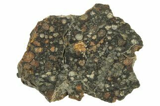 Chondrite Meteorite Section ( g) - NWA #287882