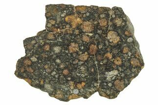 Chondrite Meteorite Section ( g) - NWA #287885