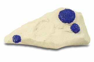 Vibrant Blue Azurite Suns on Siltstone - Australia #287967