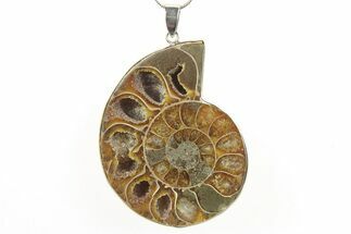 Fossil Ammonite Pendant - Million Years Old #288014