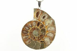 Fossil Ammonite Pendant - Million Years Old #288038