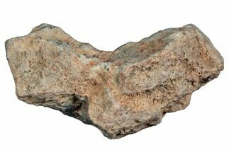 Lunar Meteorite ( g) - Bechar #288491