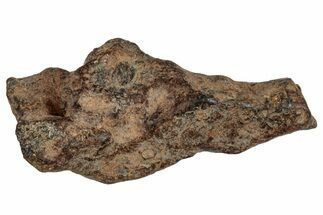 Agoudal Iron Meteorite ( g) - Morocco #288887