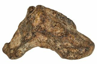 Agoudal Iron Meteorite ( g) - Morocco #288898