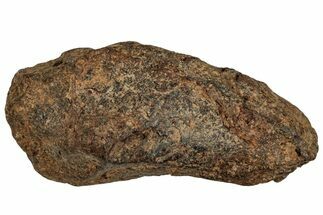 Agoudal Iron Meteorite ( g) - Morocco #288908