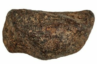Agoudal Iron Meteorite ( g) - Morocco #288928