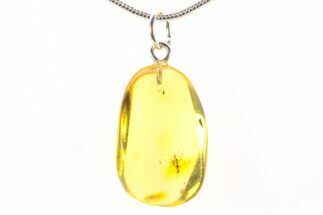 Polished Baltic Amber Pendant (Necklace) - Phoretic Behavior! #288756