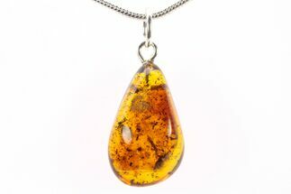 Polished Baltic Amber Pendant (Necklace) - Ant & Plant Debris! #288759